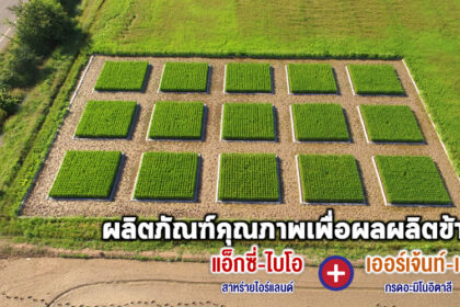 Article-Cover-แก้ไข-1